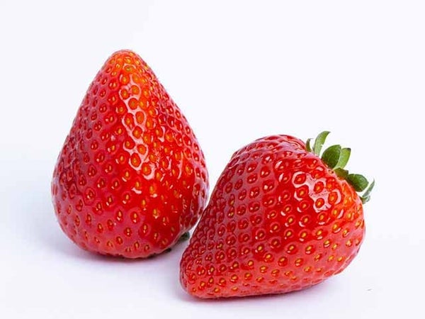 ■【栃木】栃木うんめーもん巡り♪宇都宮餃子®食べ歩き&甘さが際立つ「とちあいか」いちご狩り食べ放題&遺跡探検!大谷資料館へいこう!2